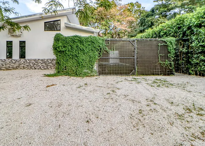 Pool & Entertaining Patio: Playa Carrillo Puerto Carrillo